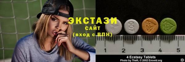 тгк Гусев