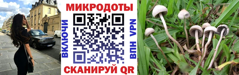 где найти   Обь  Псилоцибиновые грибы GOLDEN TEACHER 